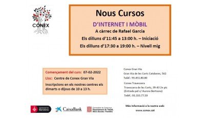 Cartell Internet-Mobils