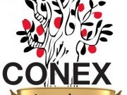 Logo Conex 40 aniv