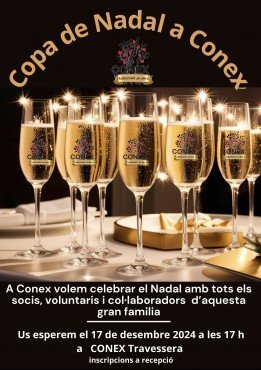 Cartell Copa Nadal Travessera