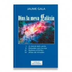 Dentro de mi Galaxia